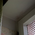 DSC_0182.JPG