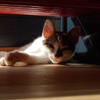 DSC_0154.JPG
