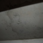 DSC_0174.JPG